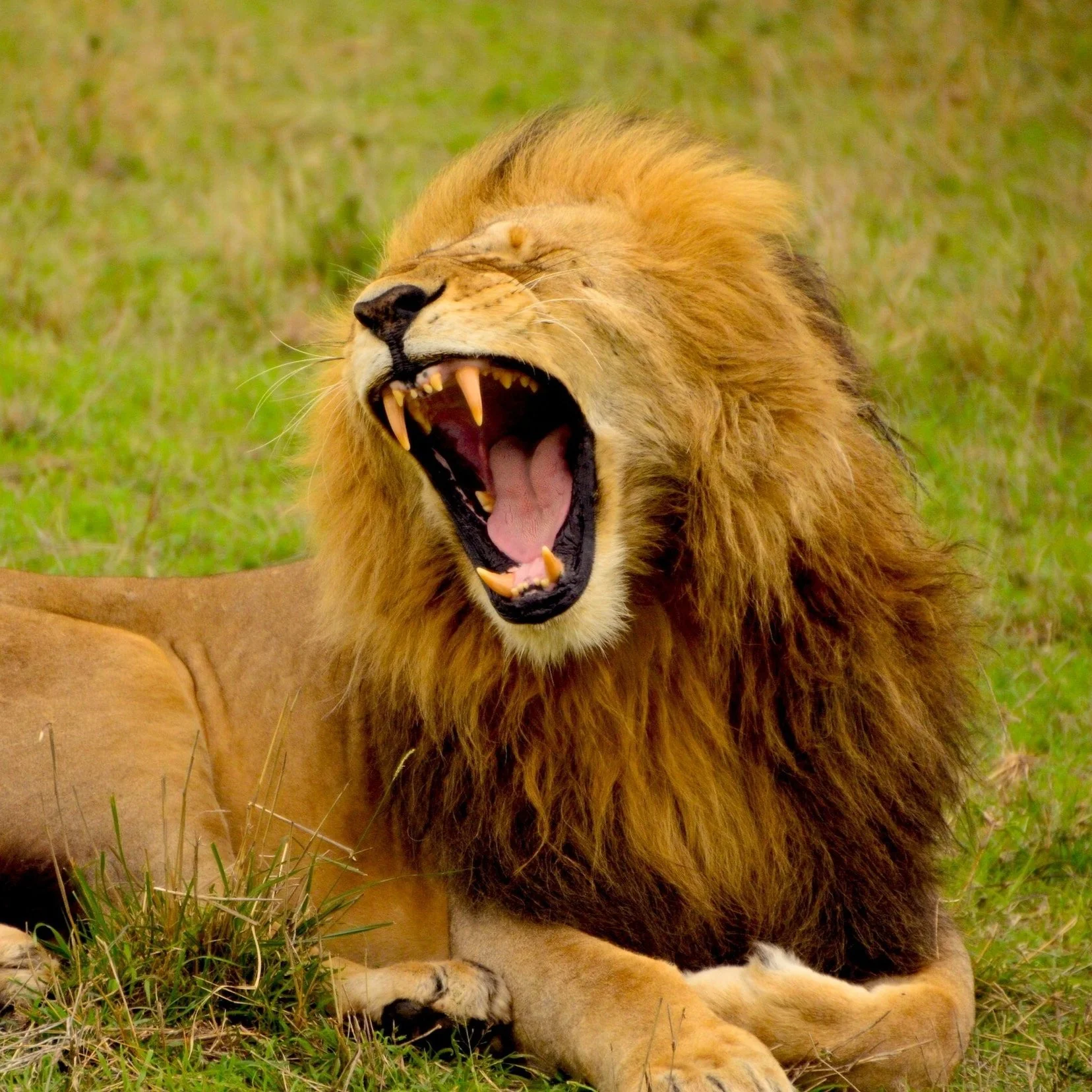 Breathing techniques to relieve anxiety for kids, teens, and adults